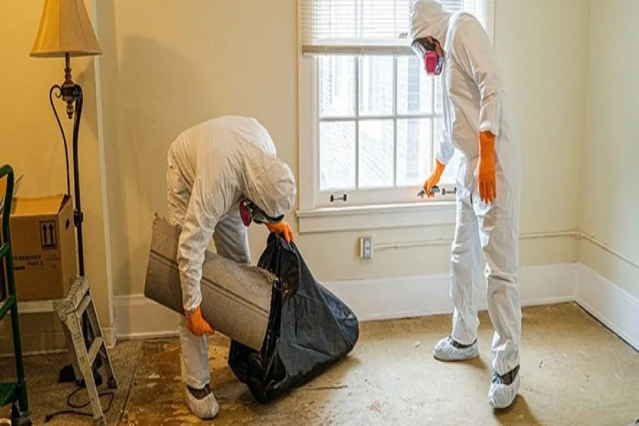 Tips for Mold Prevention after Flooding after Flooding